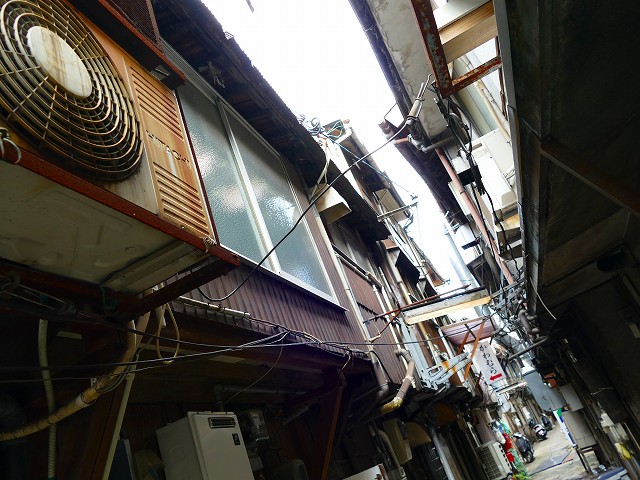 f:id:congiro:20161110000514j:image