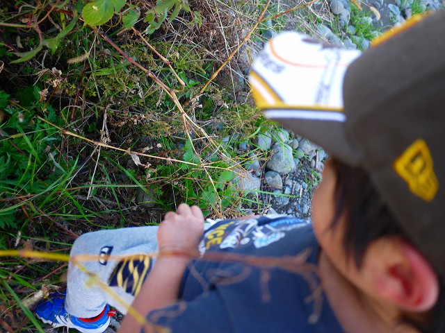 f:id:congiro:20161113214446j:image