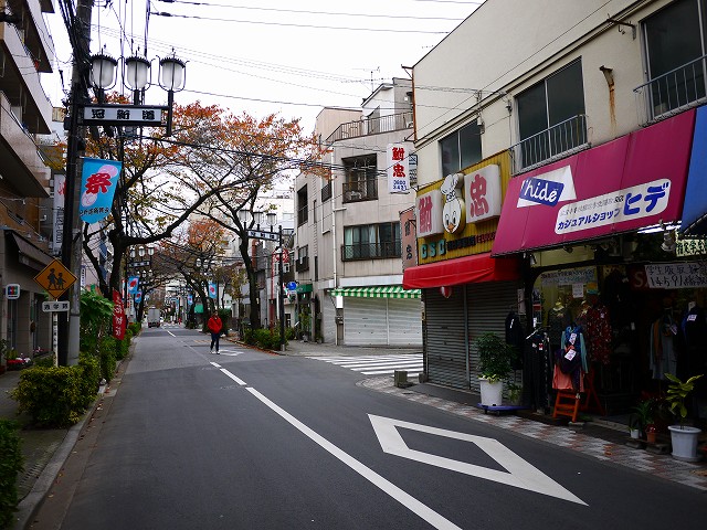 f:id:congiro:20161123231301j:image