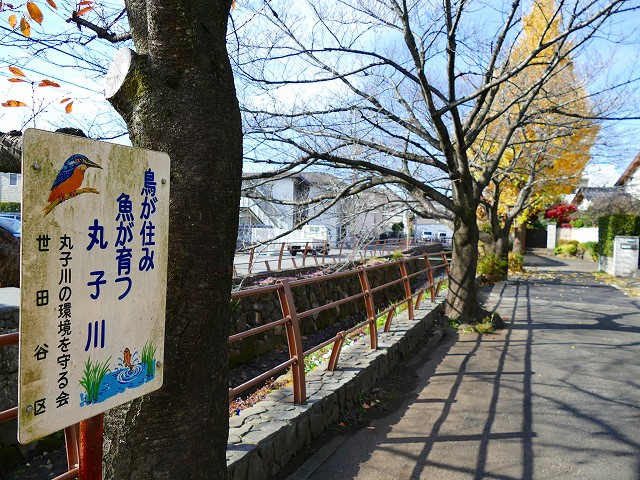 f:id:congiro:20161204232233j:image