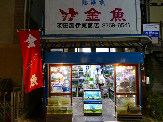 f:id:congiro:20161204232330j:image