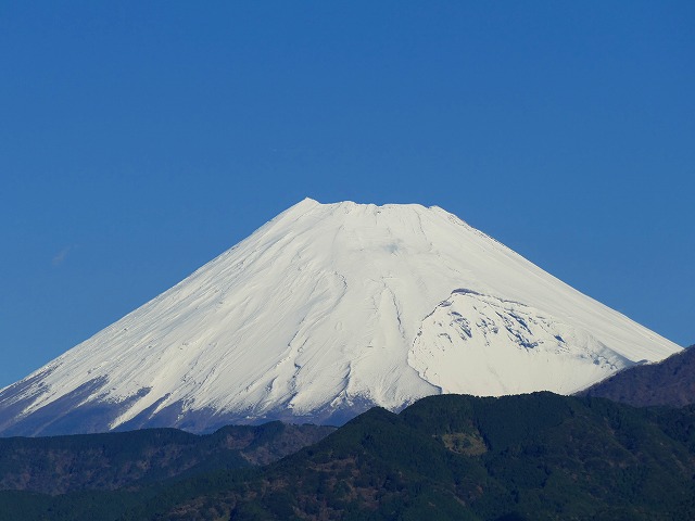 f:id:congiro:20161219151609j:image
