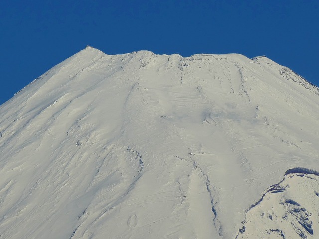 f:id:congiro:20161219151610j:image
