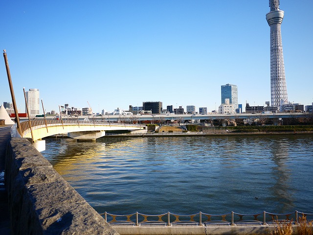 f:id:congiro:20161219172555j:image f:id:congiro:20161219172555j:image