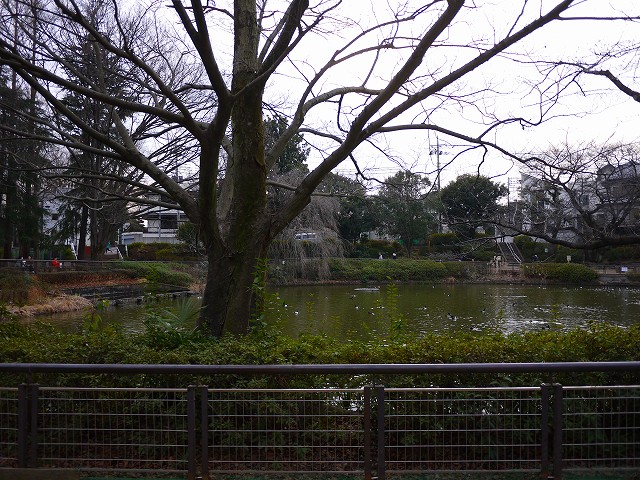 f:id:congiro:20170130015905j:image