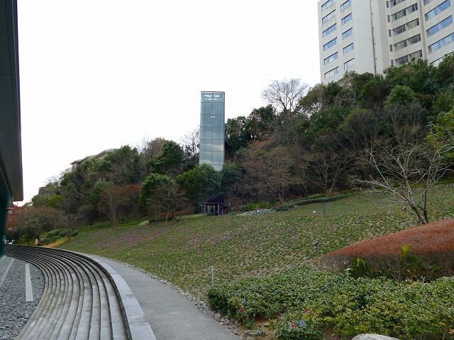 f:id:congiro:20170318025506j:image