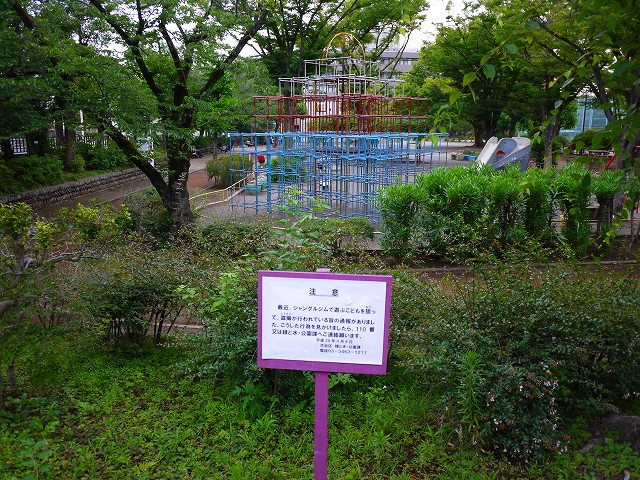 f:id:congiro:20170702212344j:image
