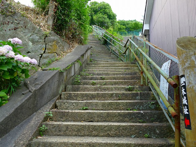 f:id:congiro:20170714115136j:image f:id:congiro:20170714115136j:image