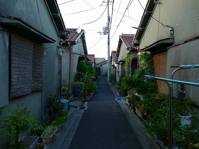 f:id:congiro:20170905002237j:image