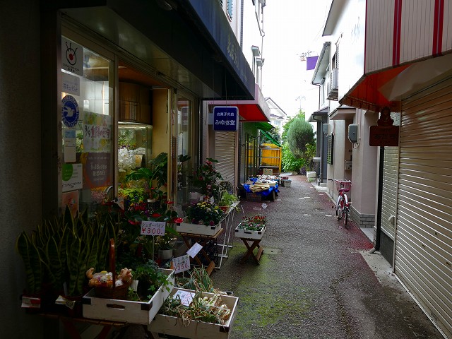 f:id:congiro:20170910234603j:image