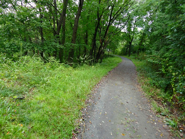 f:id:congiro:20170925000250j:image
