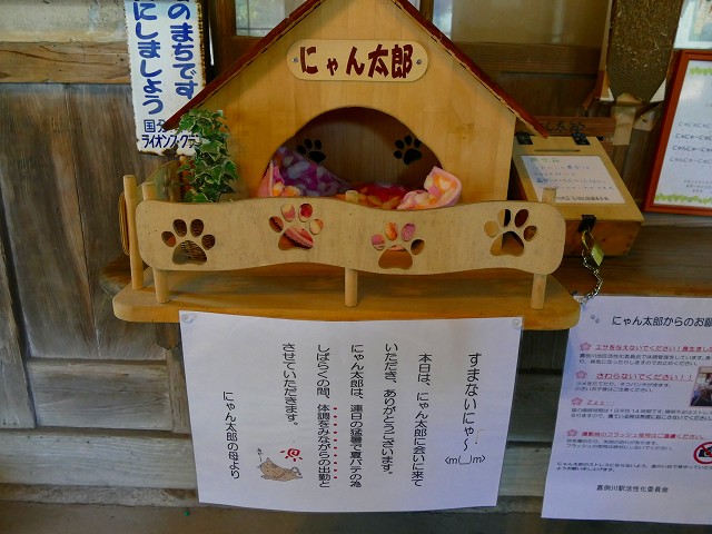 f:id:congiro:20171110000331j:image
