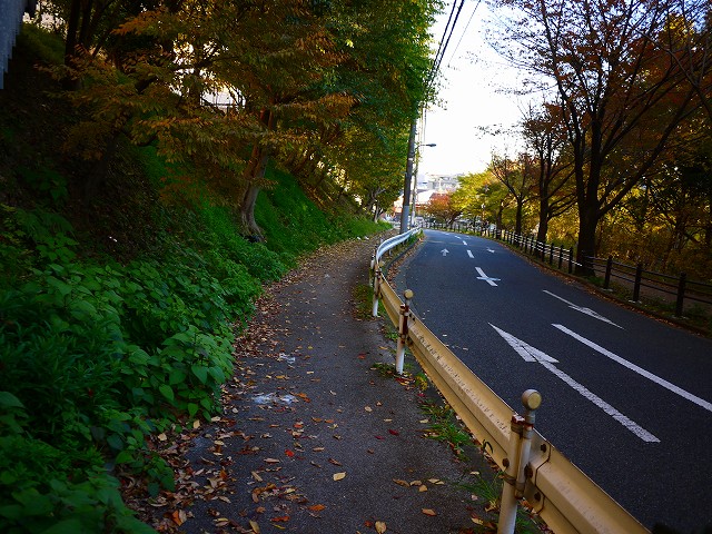 f:id:congiro:20171119222430j:image