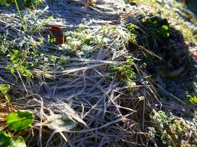 f:id:congiro:20171126221657j:image