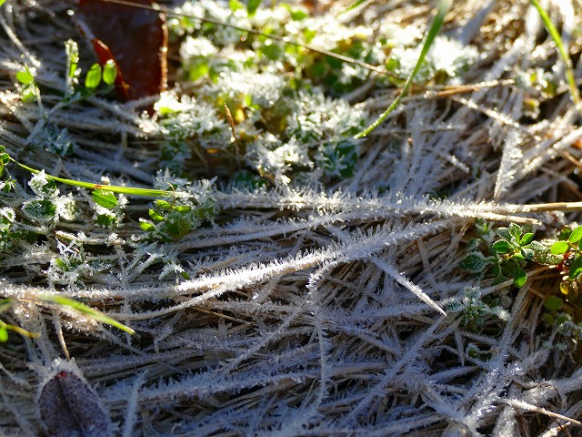f:id:congiro:20171126221658j:image