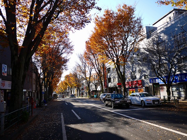 f:id:congiro:20171208001427j:image