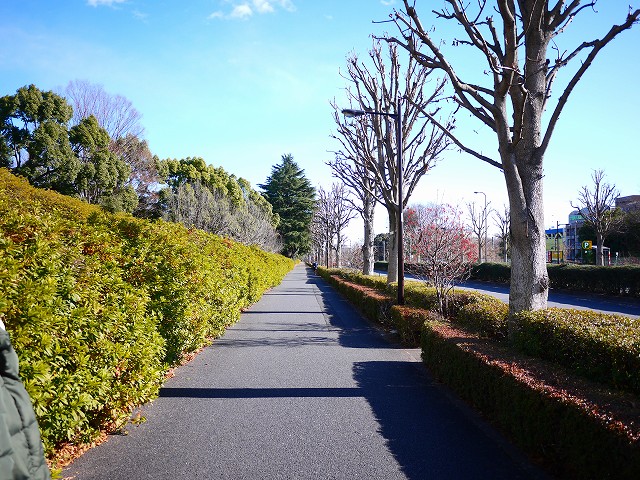 f:id:congiro:20171217235920j:image