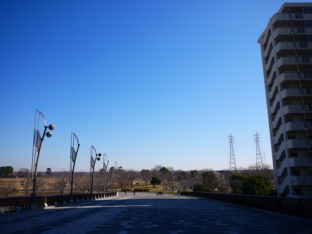 f:id:congiro:20171224114225j:image
