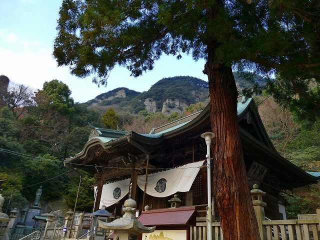 f:id:congiro:20180102002527j:image