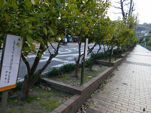 f:id:congiro:20180102002743j:image
