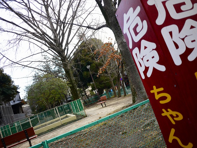 f:id:congiro:20180205115219j:image
