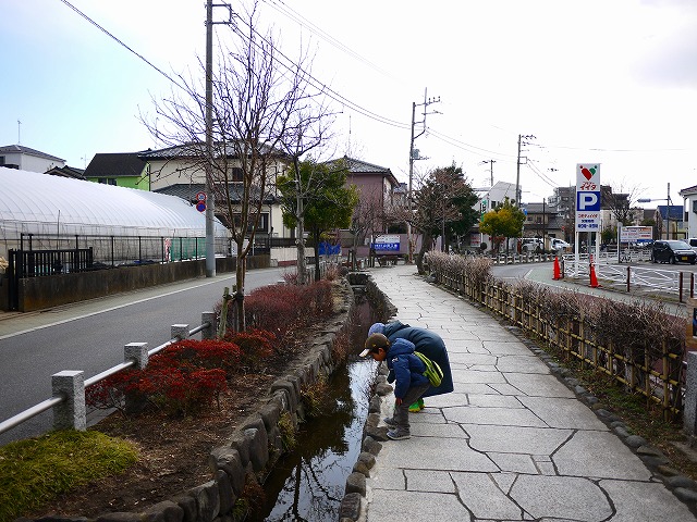 f:id:congiro:20180205115220j:image