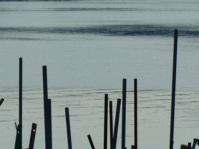 f:id:congiro:20180212234953j:image