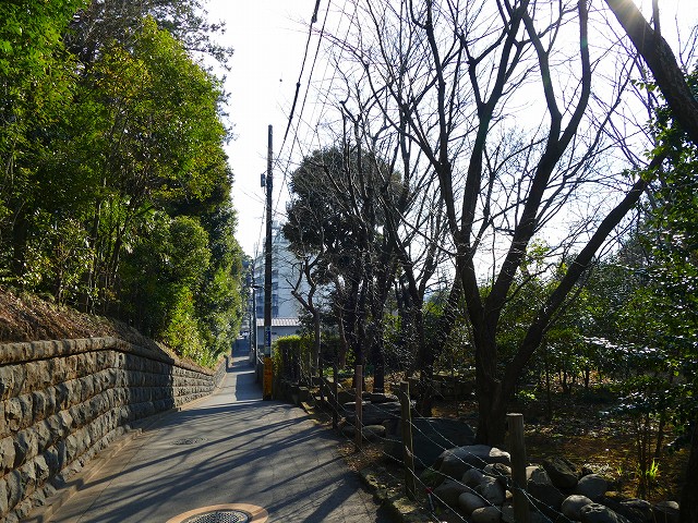 f:id:congiro:20180212235048j:image