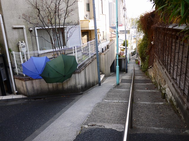 f:id:congiro:20180224235351j:image