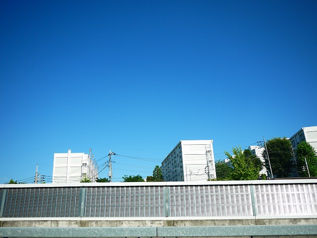 f:id:congiro:20180703234242j:plain f:id:congiro:20180703234242j:plain