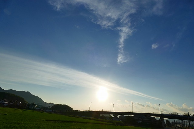 f:id:congiro:20180801150205j:plain