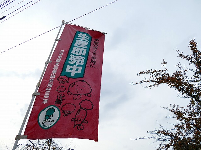 f:id:congiro:20181118220642j:plain