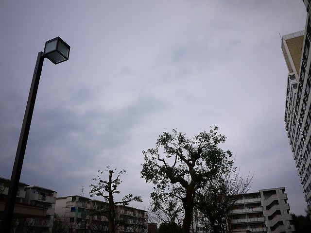 f:id:congiro:20181218001406j:plain f:id:congiro:20181218001406j:plain
