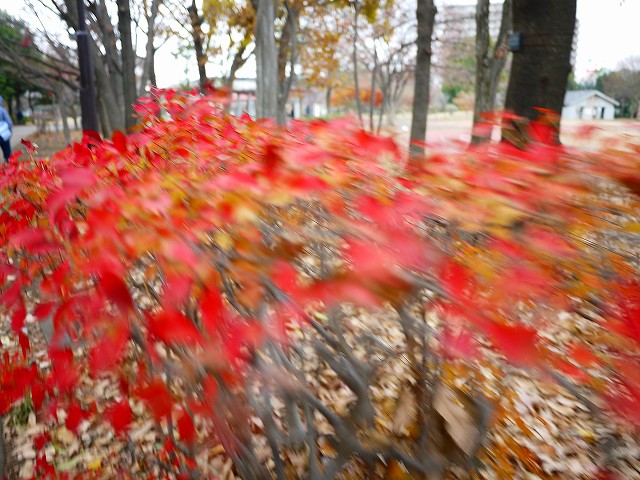 f:id:congiro:20181218001429j:plain f:id:congiro:20181218001429j:plain
