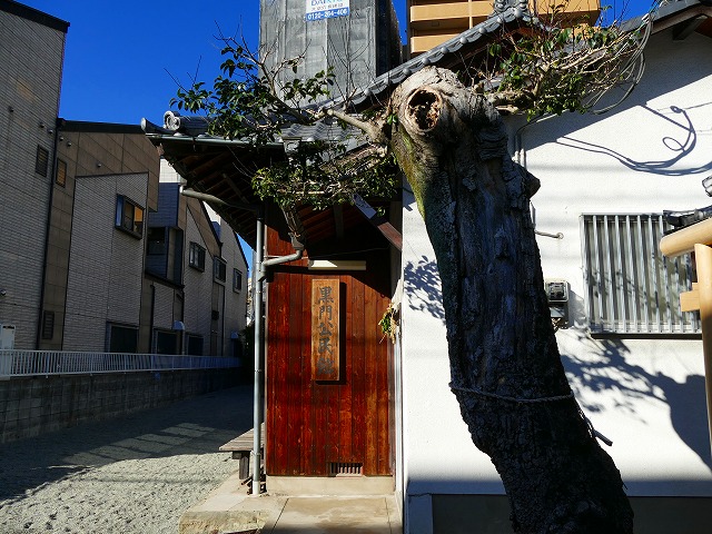 f:id:congiro:20190105005806j:plain