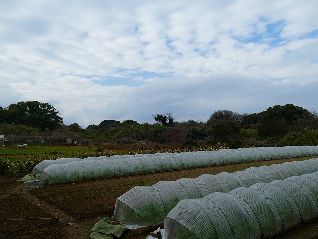 f:id:congiro:20190114223708j:plain f:id:congiro:20190114223708j:plain