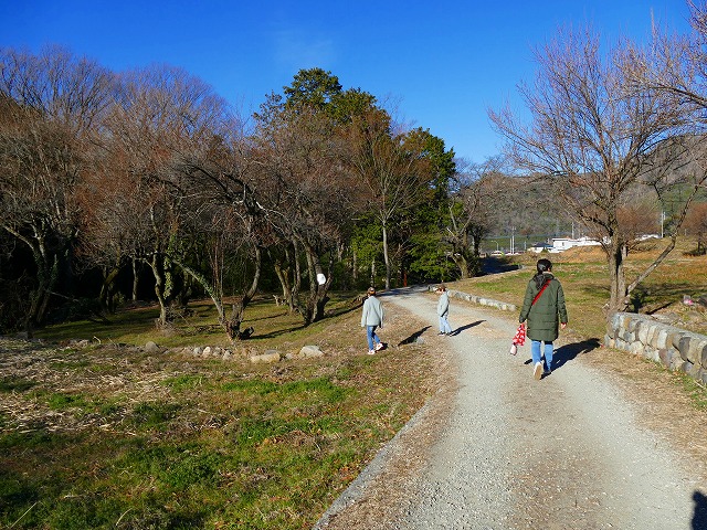 f:id:congiro:20190123005049j:plain f:id:congiro:20190123005049j:plain