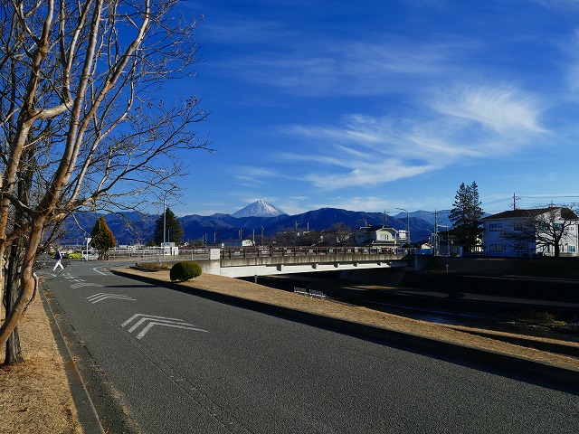 f:id:congiro:20190123005222j:plain f:id:congiro:20190123005222j:plain