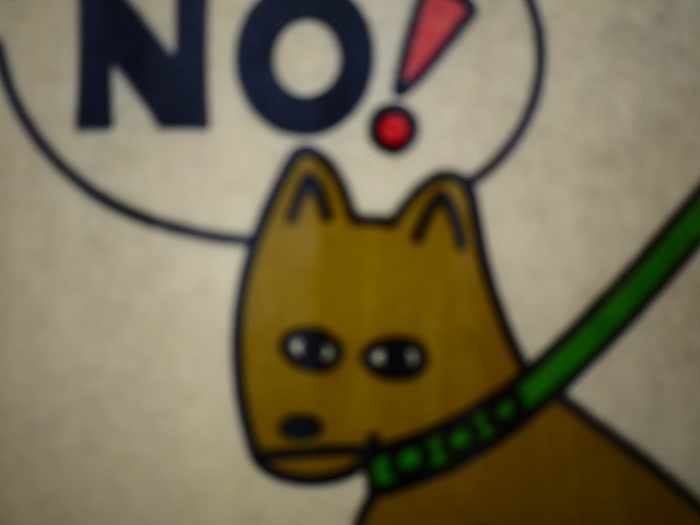 f:id:congiro:20190303230055j:plain