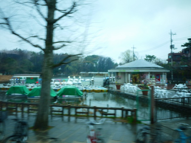 f:id:congiro:20190303230101j:plain