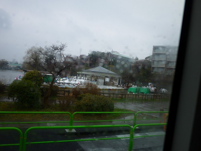 f:id:congiro:20190303230135j:plain
