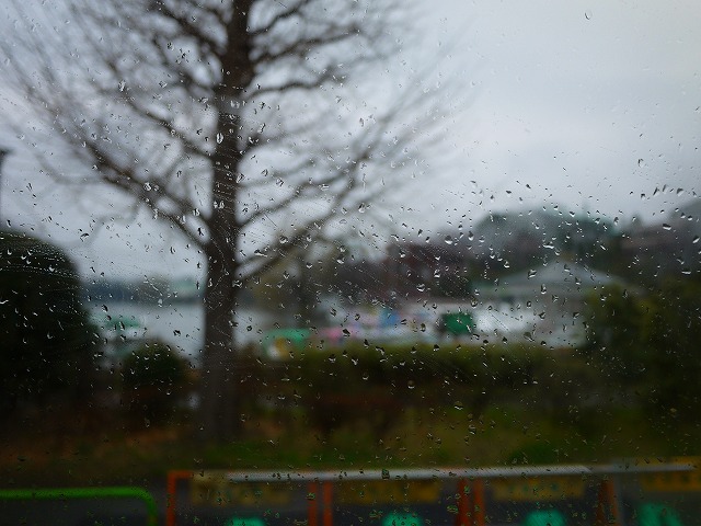 f:id:congiro:20190303230136j:plain