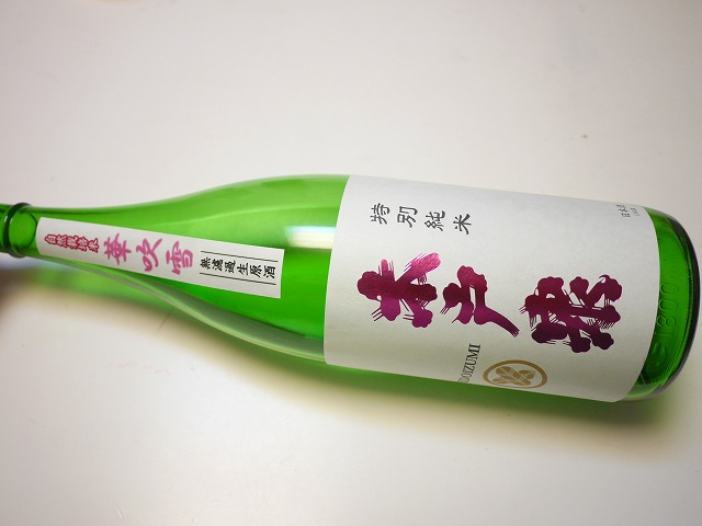 f:id:congiro:20190303230144j:plain