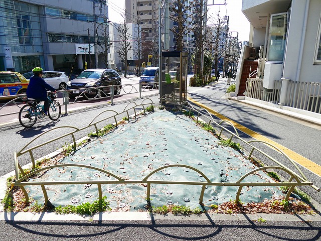 f:id:congiro:20190310231933j:plain f:id:congiro:20190310231933j:plain