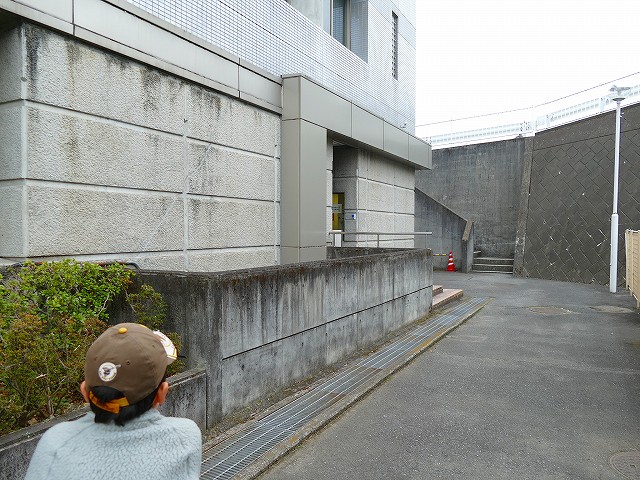 f:id:congiro:20190403002853j:plain