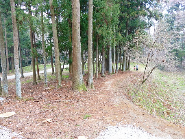 f:id:congiro:20190403002906j:plain