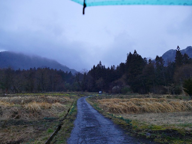 f:id:congiro:20190403003139j:plain