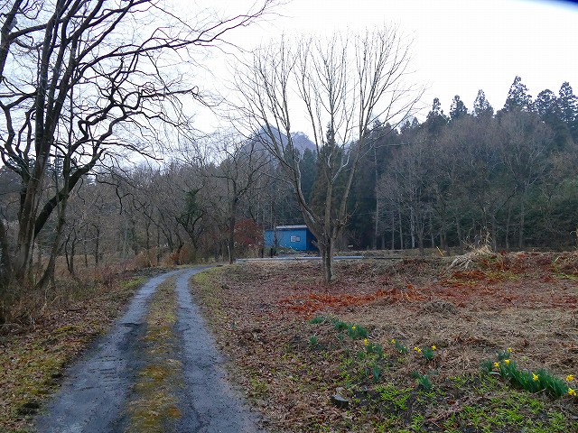 f:id:congiro:20190403003144j:plain