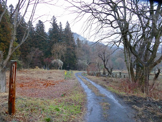 f:id:congiro:20190403003145j:plain