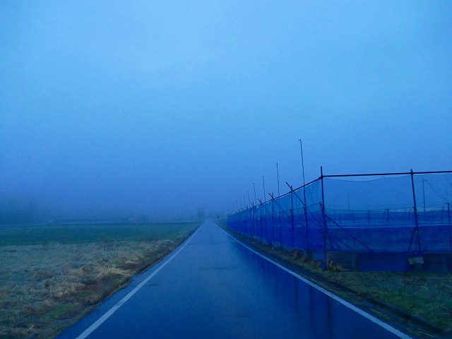 f:id:congiro:20190403003153j:plain